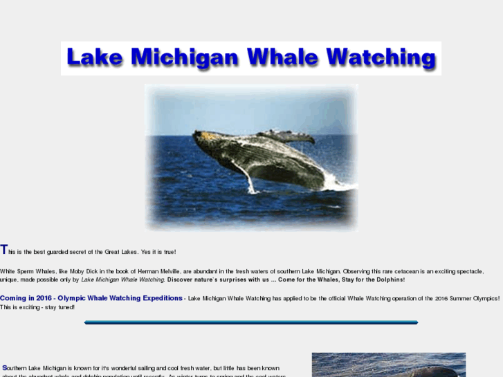 www.lakemichiganwhales.com