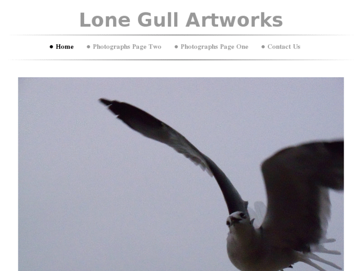 www.lonegullartworks.com