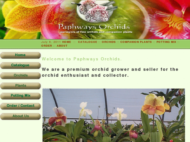 www.paphways.com