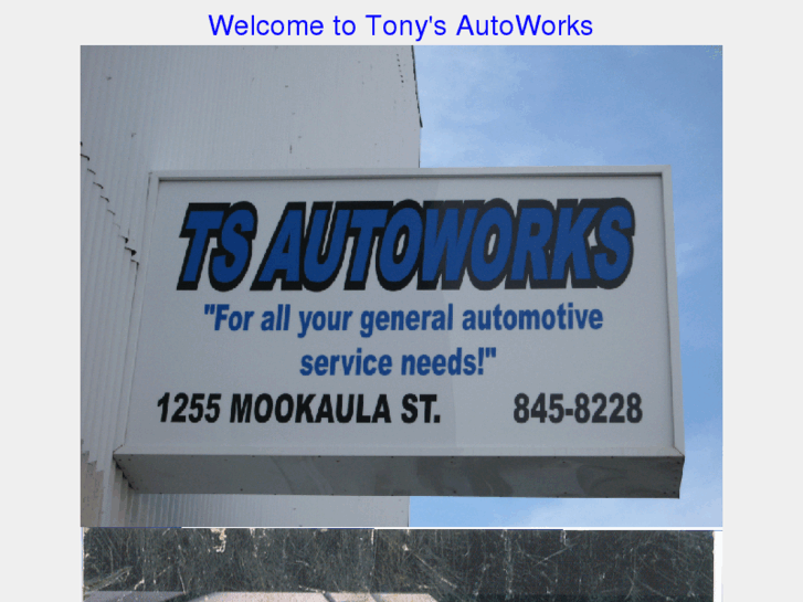 www.tsautoworks.com