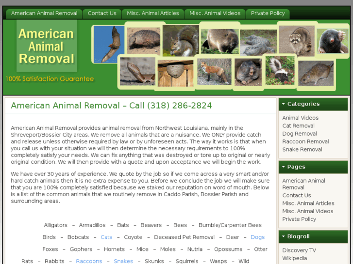 www.americananimalremoval.com