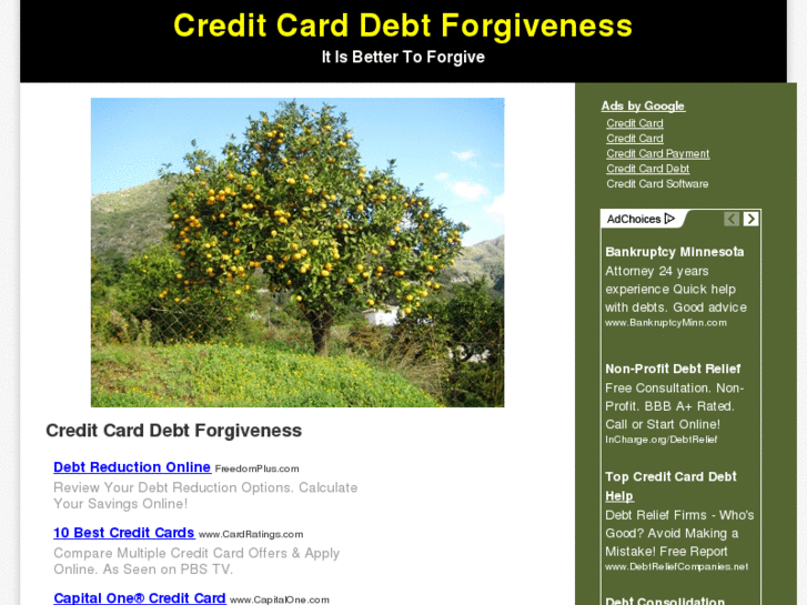 www.creditcarddebtforgiveness.net