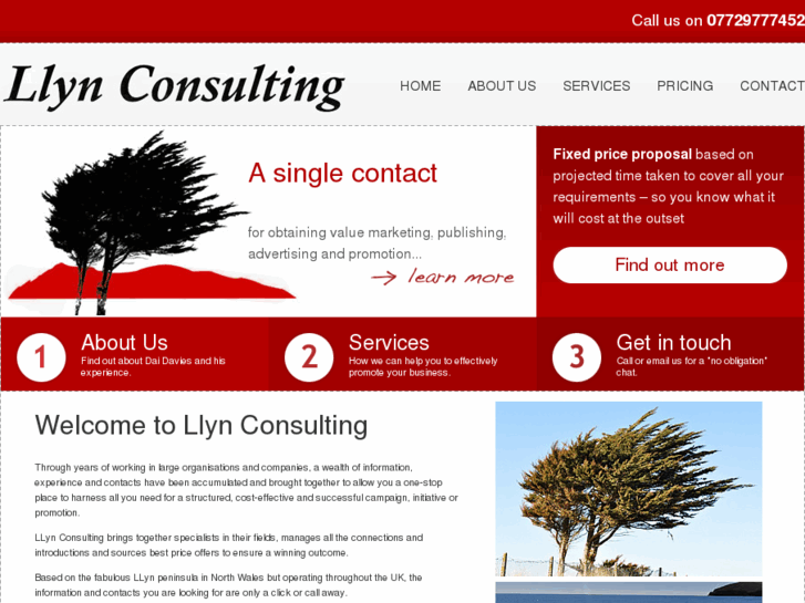 www.llynconsulting.com