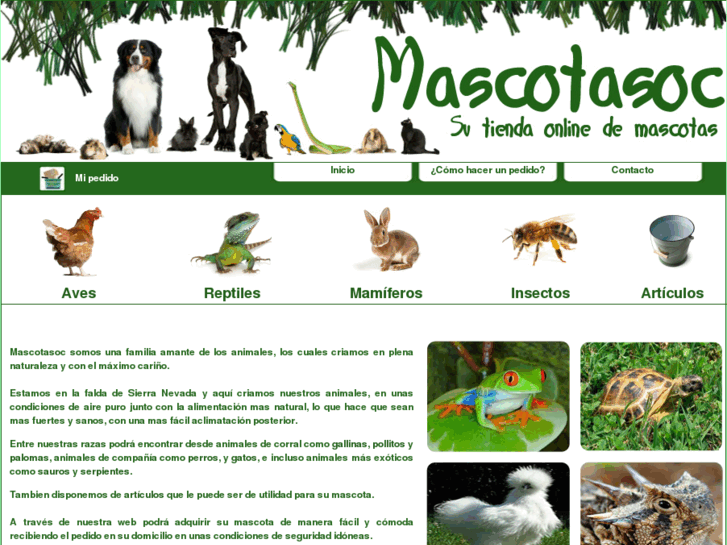 www.mascotasoc.com