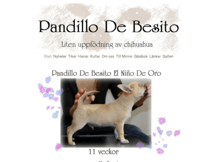 www.pandillodebesito.se