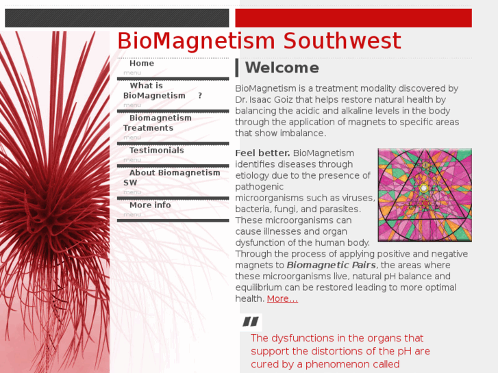 www.biomagnetismsw.com