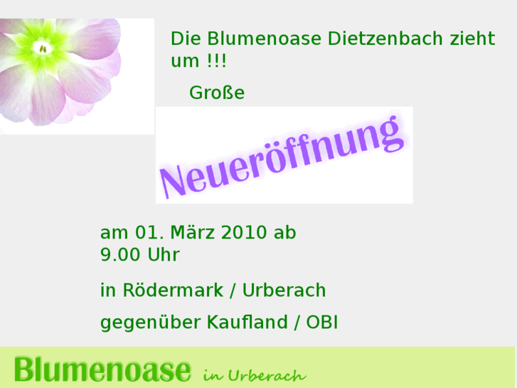 www.blumen-dietzenbach.de