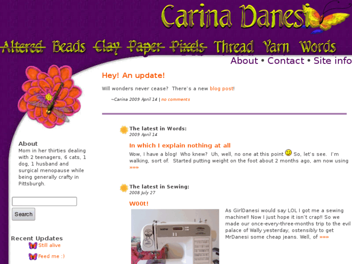 www.carinadanesi.com