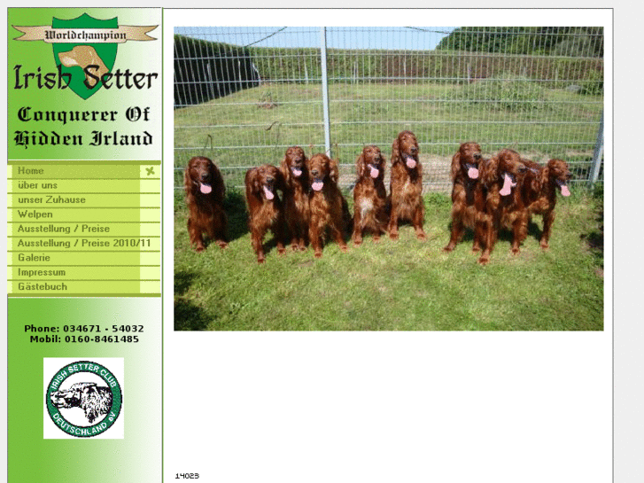 www.irish-setter-red.com