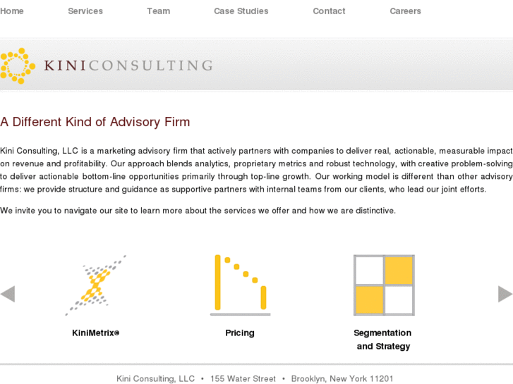 www.kiniconsulting.com