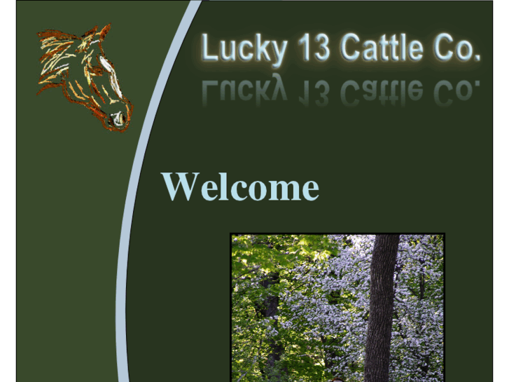 www.lucky13cattlecompany.com