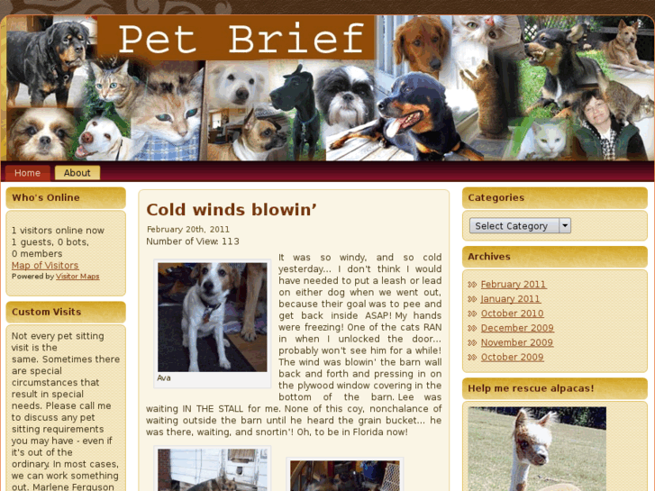 www.petbrief.com