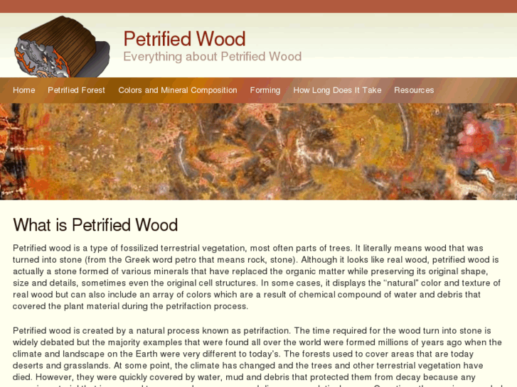 www.petrifiedwood.org.uk