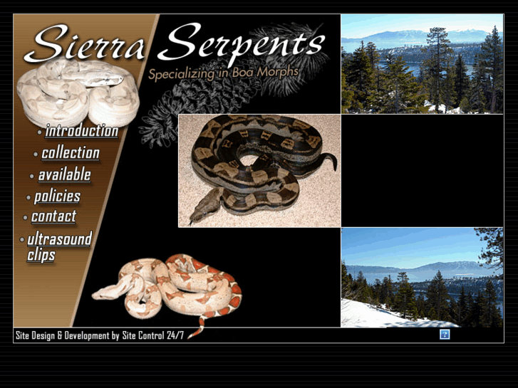 www.sierraserpents.com