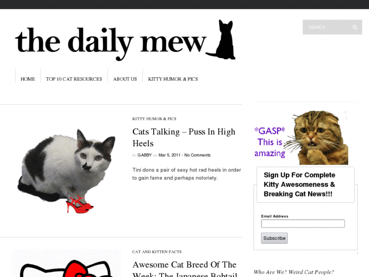 www.thedailymew.com