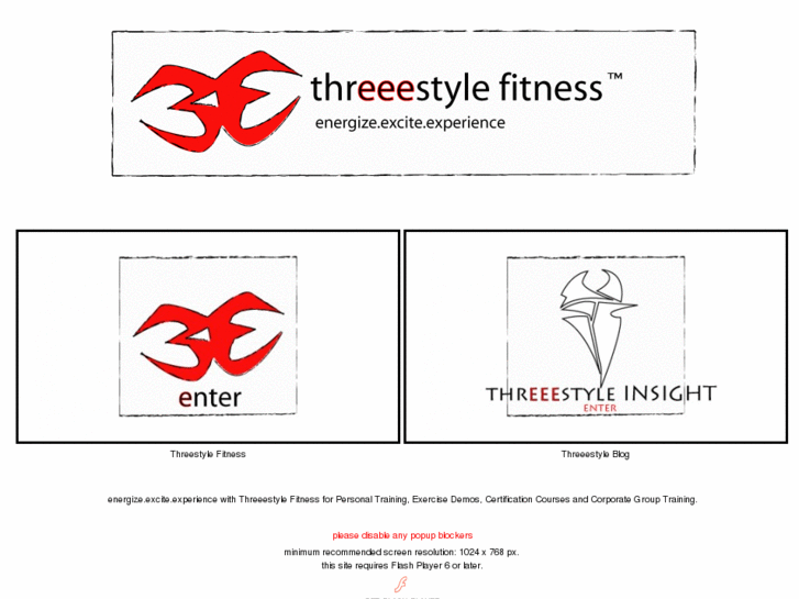 www.threeestylefitness.com