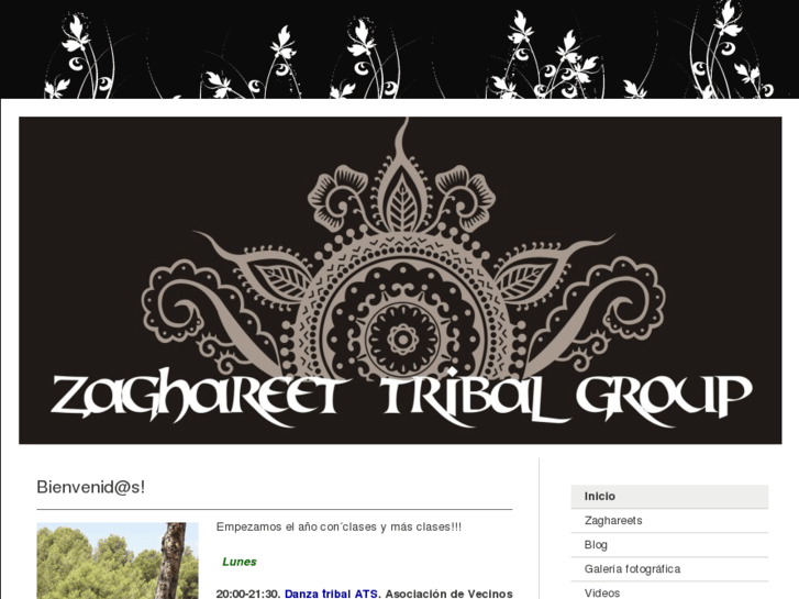 www.zaghareettribalgroup.com