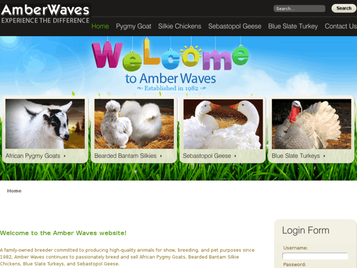 www.amberwaves.info