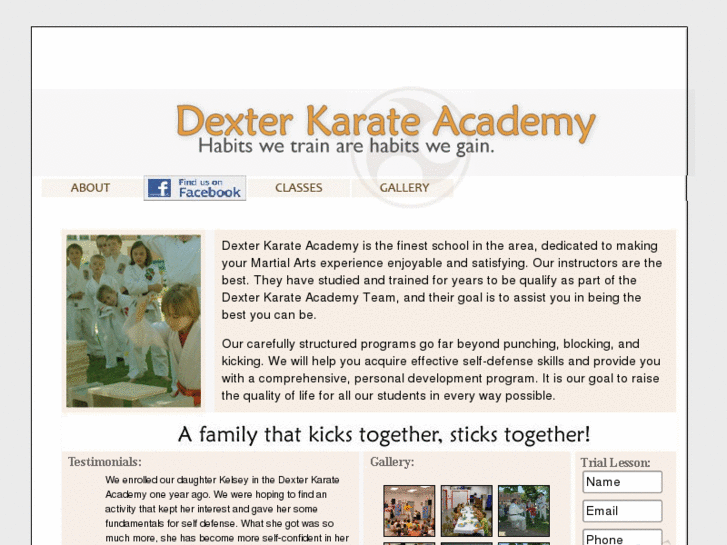 www.dexterkarateacademy.net