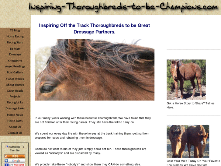 www.inspiring-thoroughbreds-to-be-champions.com