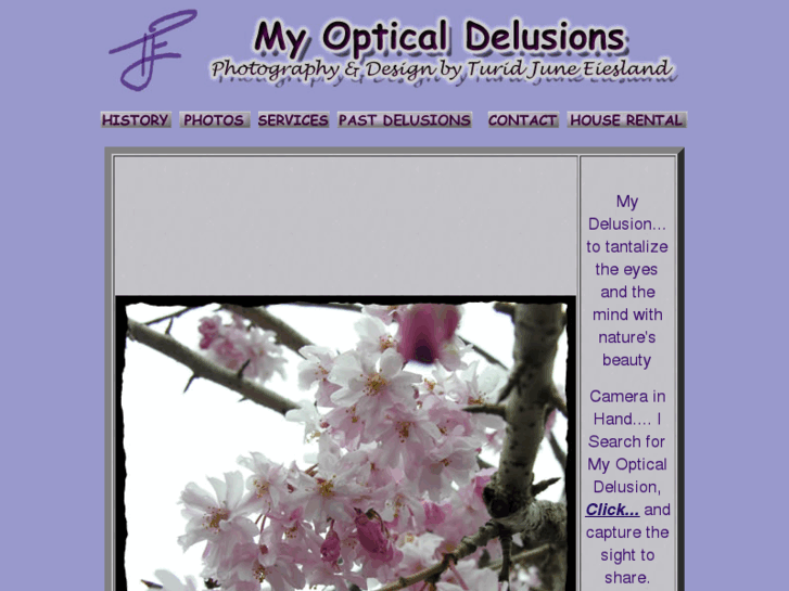 www.myopticaldelusions.com