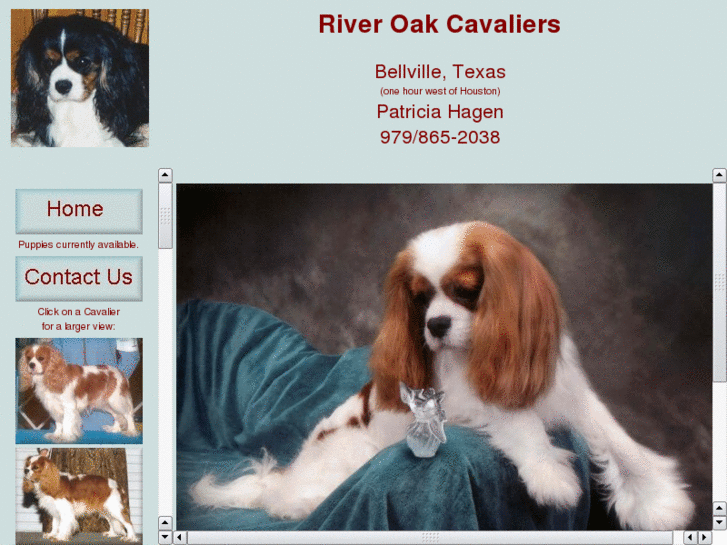 www.riveroakcavaliers.com