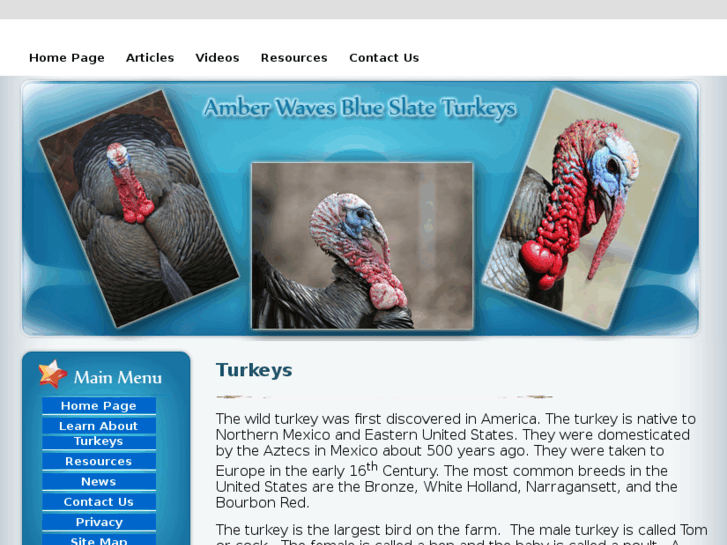 www.turkeysonline.info