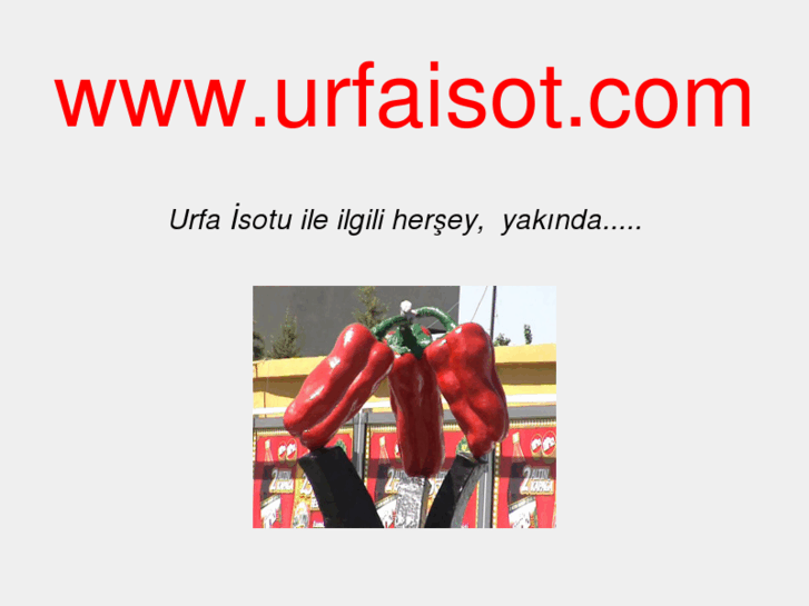 www.urfaisot.com