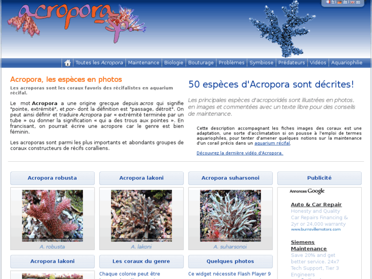 www.acropora-sp.fr