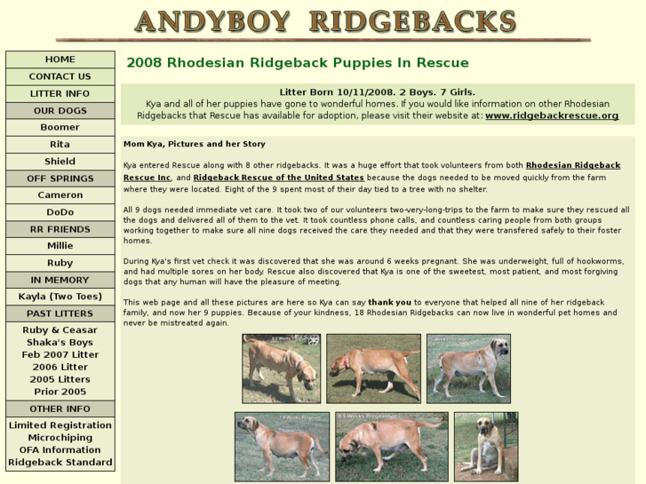 www.andyboyridgebacks.com