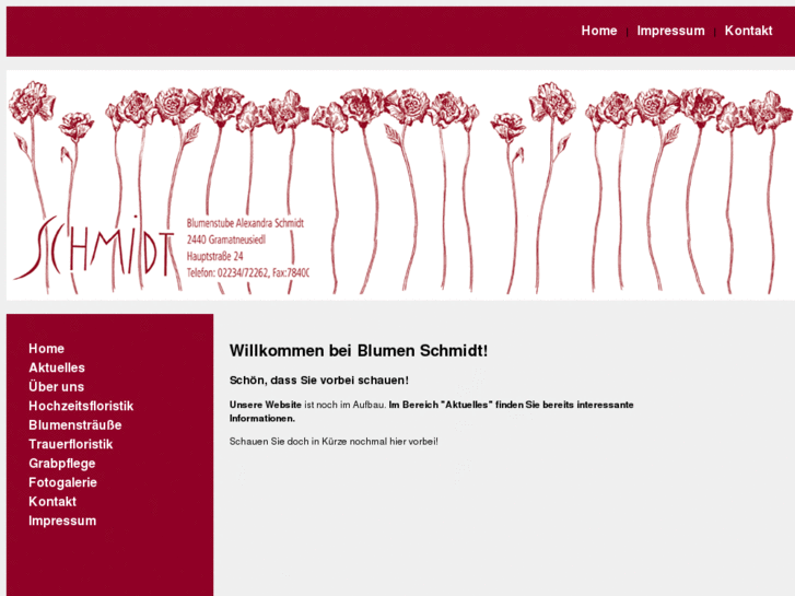 www.blumenschmidt.info