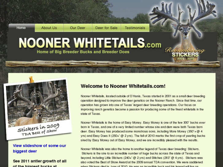 www.noonerwhitetails.com