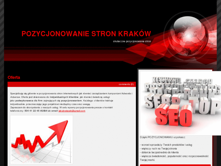 www.pozycjonowanie.ws