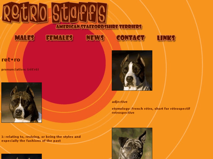 www.retrostaffs.com