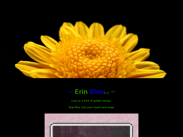 www.erinblue.co.uk