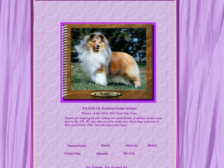 www.mistybrookshelties.com