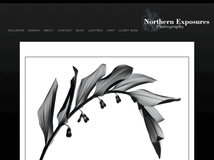 www.northernexposures.com