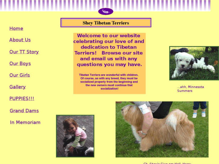 www.sheytibetanterriers.com