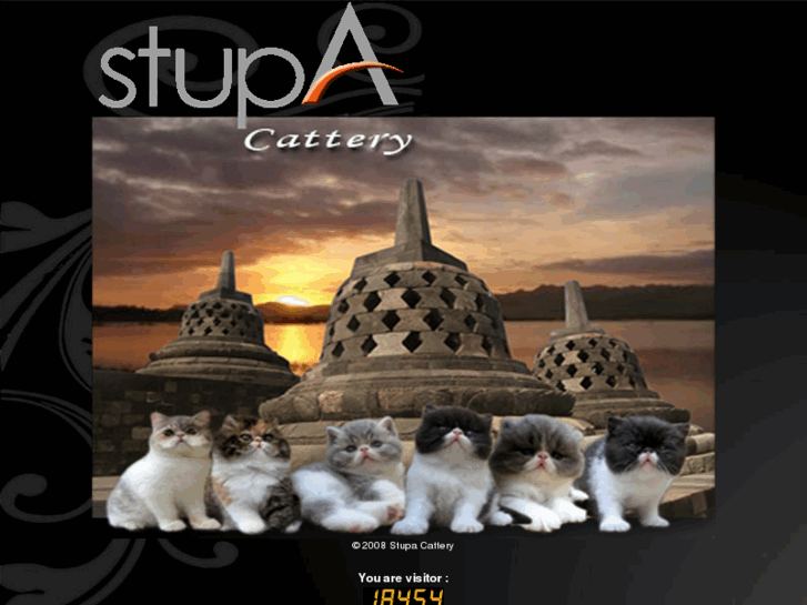 www.stupacattery.com