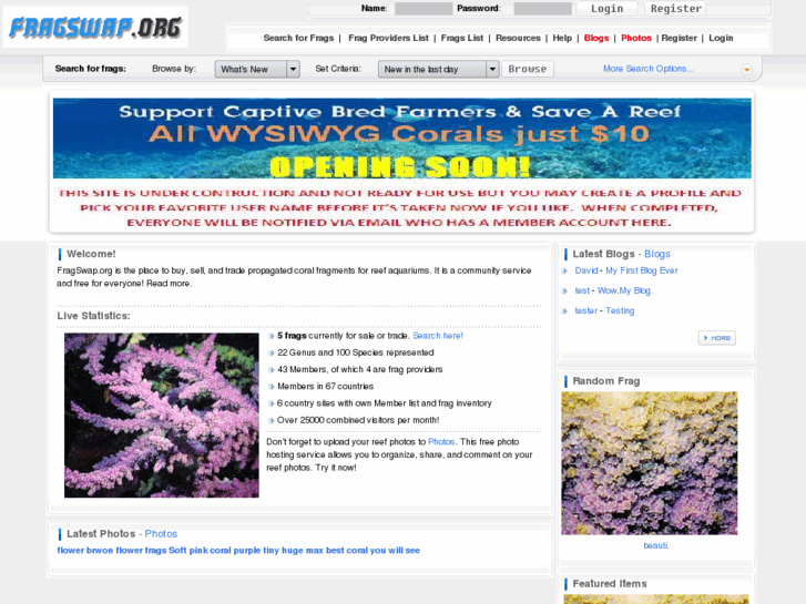 www.10dollarcorals.com