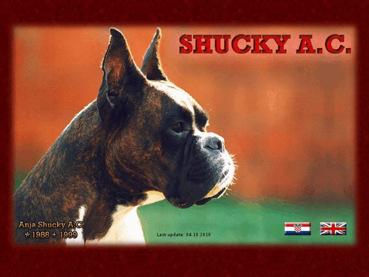 www.boxershucky.com