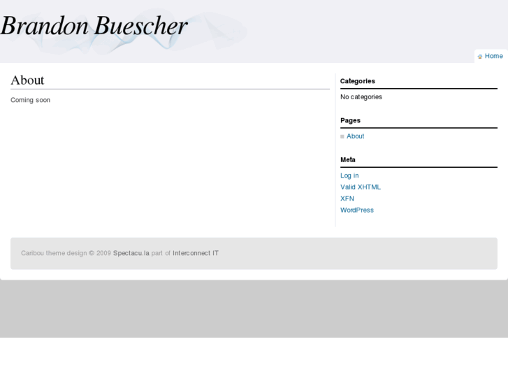 www.brandonbuescher.com