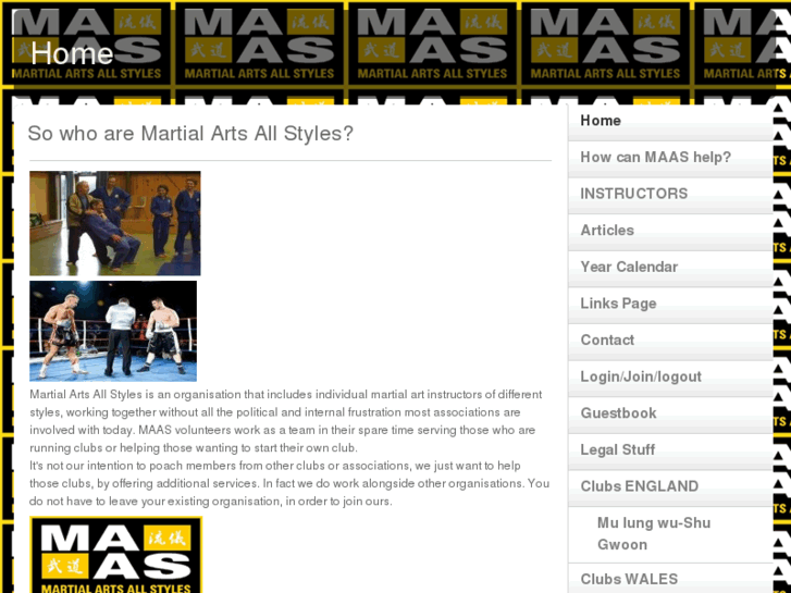 www.martialartsallstyles.biz