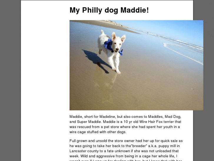 www.myphillydog.com