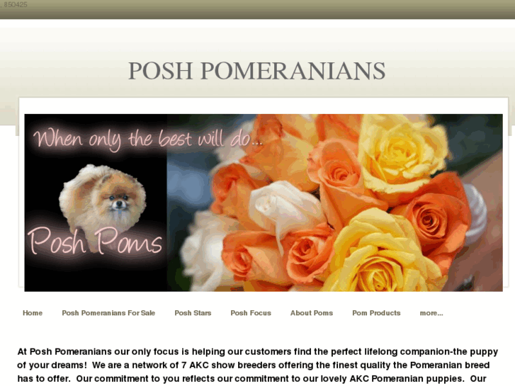 www.poshpomeranians.com