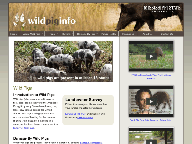 www.wildpiginfo.com