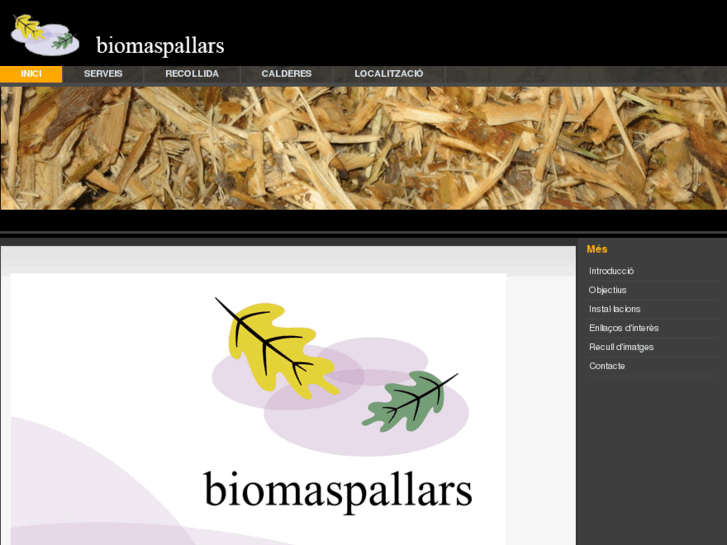 www.biomaspallars.com