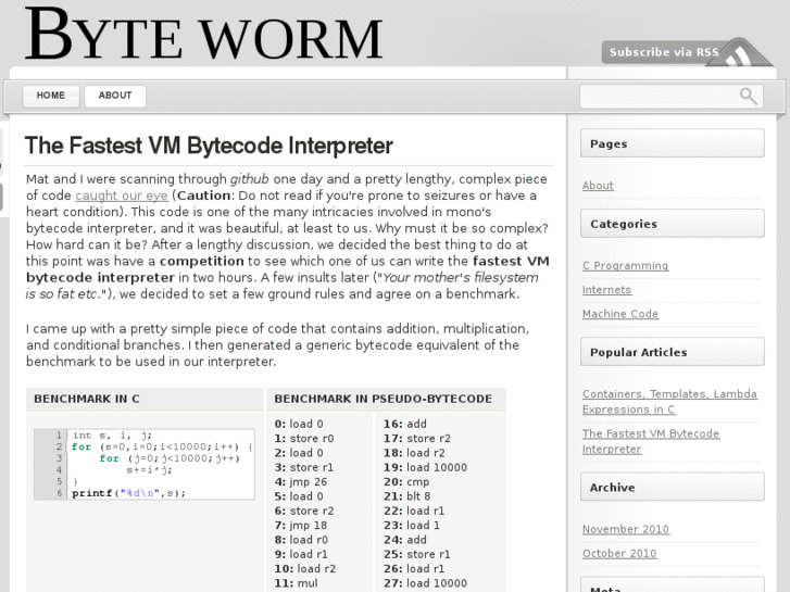 www.byteworm.com