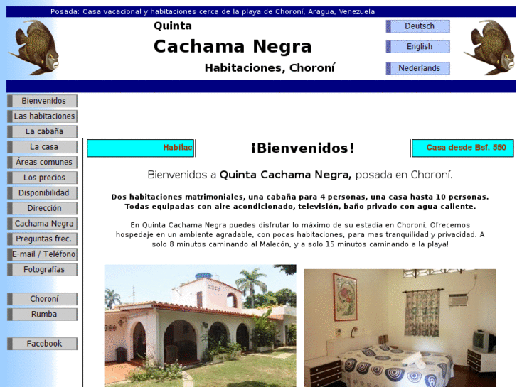 www.cachamanegra.com