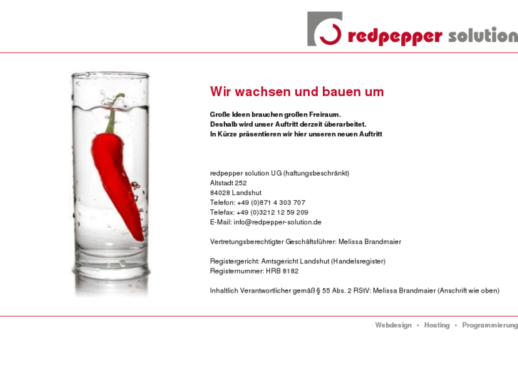 www.redpepper-solution.com